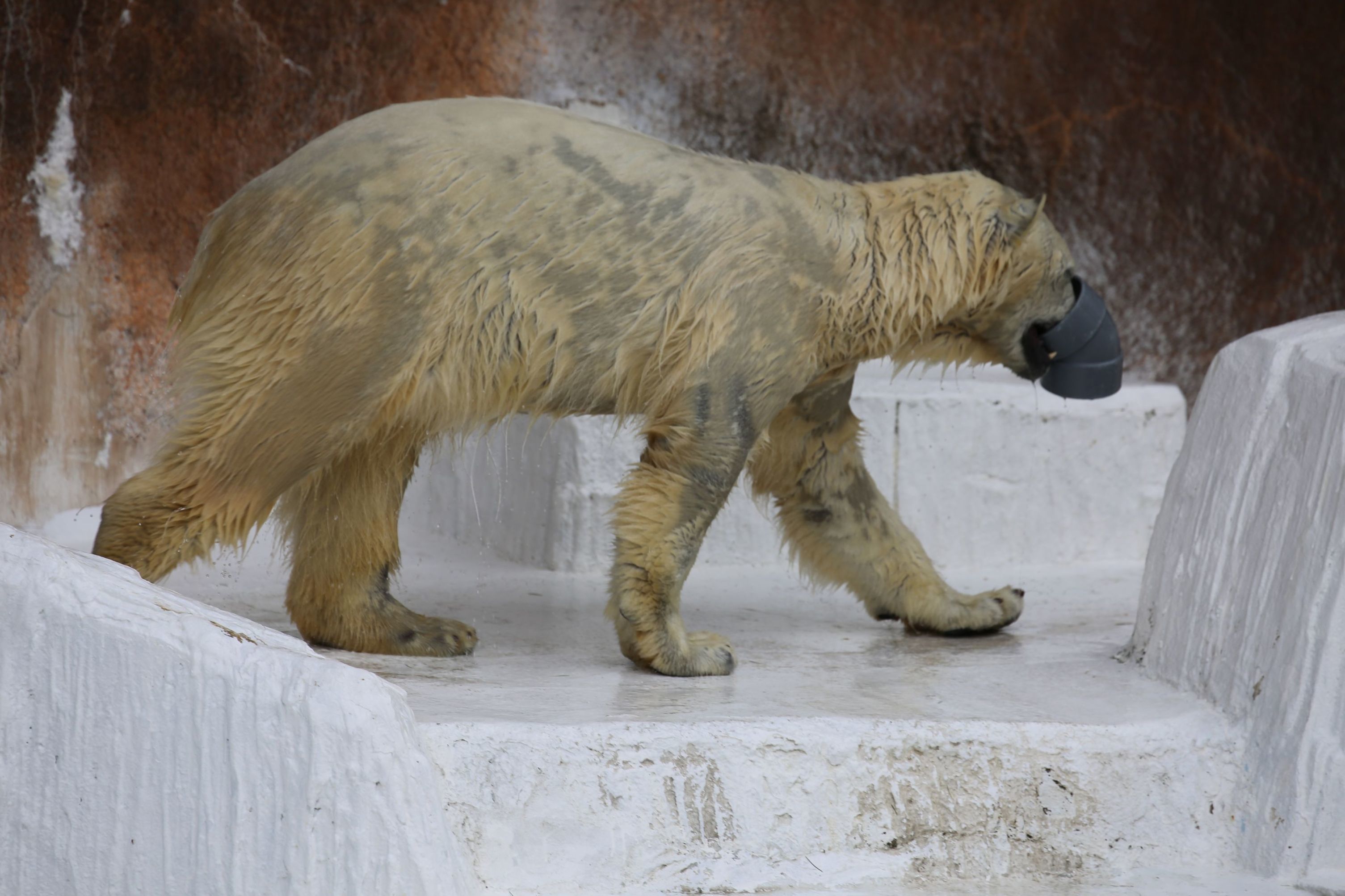 e0163618_22153001.jpg