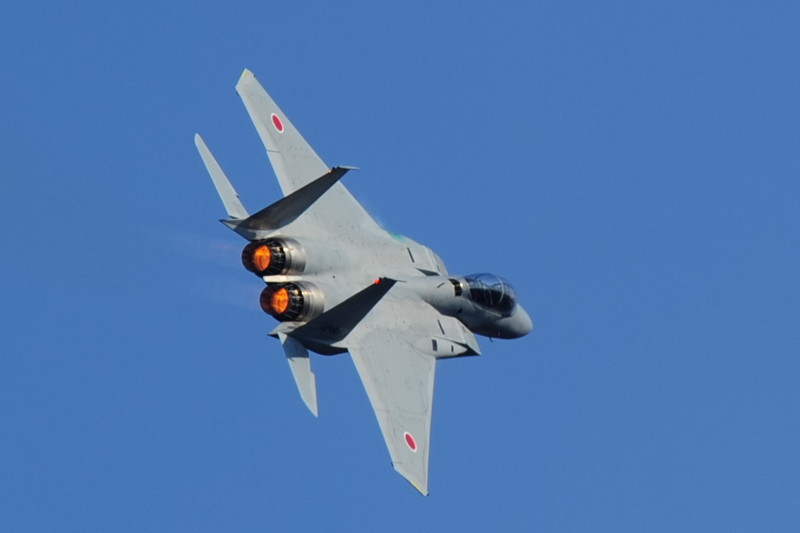 2013岐阜基地航空祭　　Ｆ-15機動飛行編　Ｖｏｌ.1_c0158519_16514079.jpg