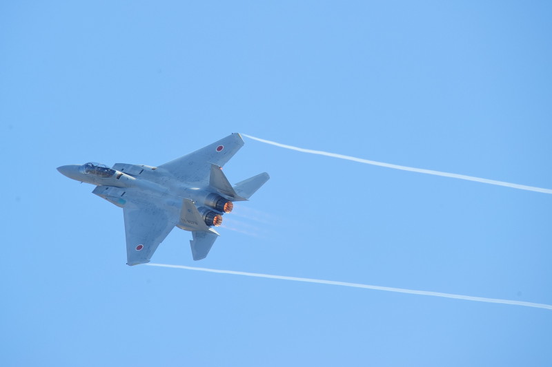 2013岐阜基地航空祭　　Ｆ-15機動飛行編　Ｖｏｌ.1_c0158519_16514095.jpg