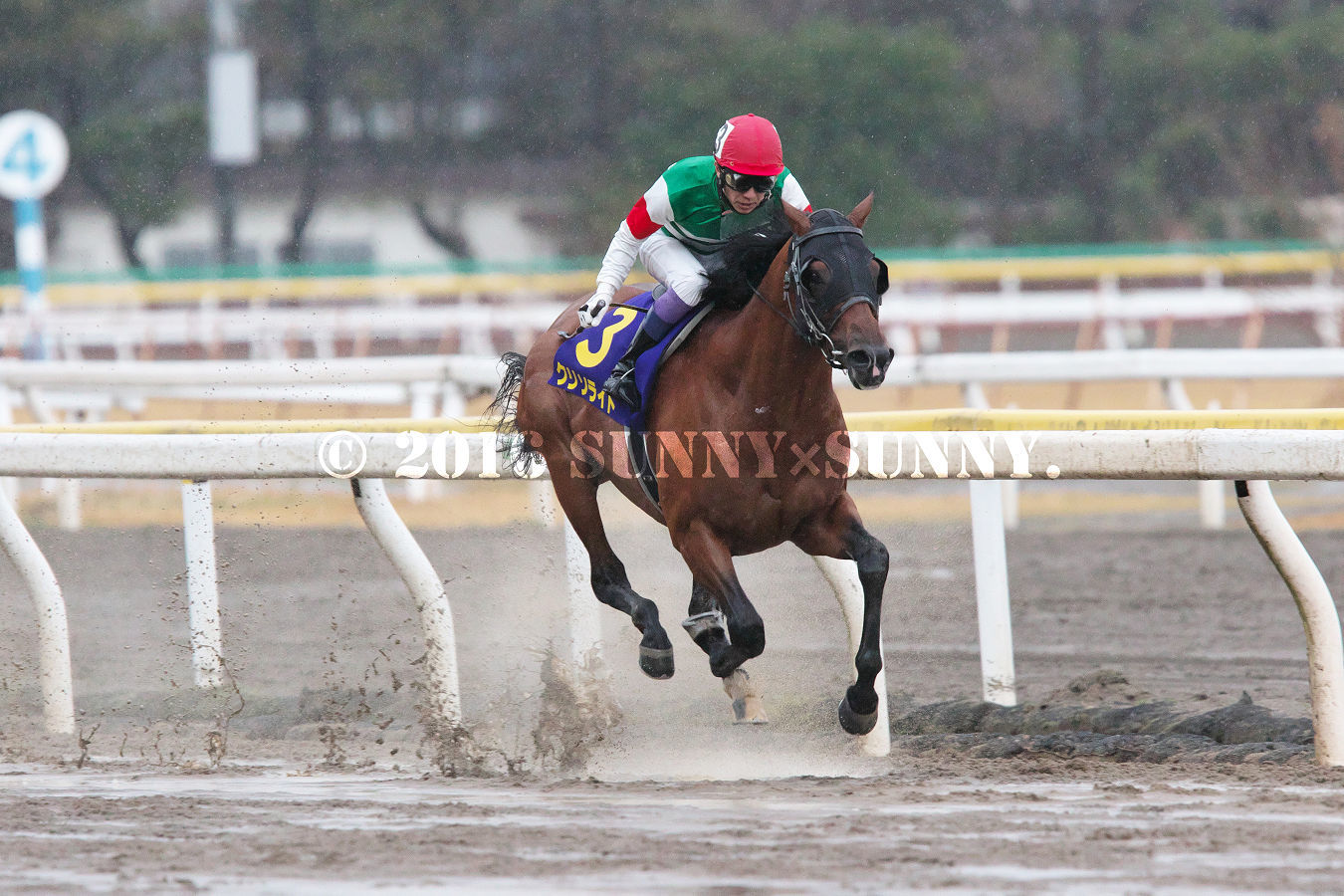 雨中の連覇達成　第61回 ダイオライト記念 (JpnII)_a0204724_20112502.jpg