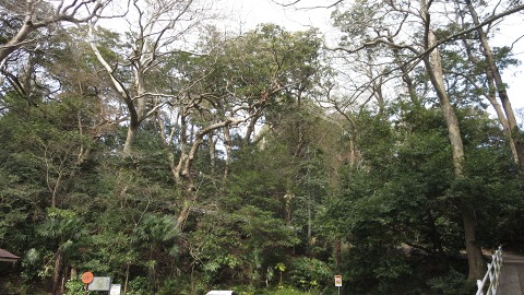 e0202031_12411554.jpg