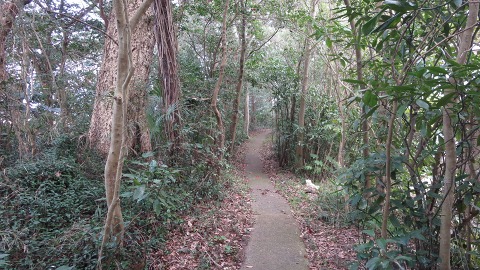 e0202031_1245191.jpg