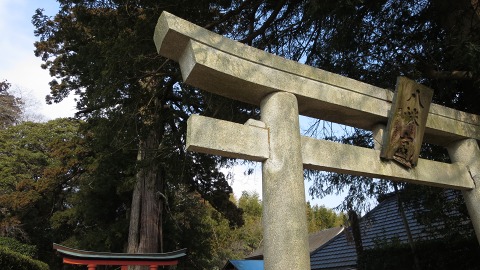 e0202031_12533147.jpg