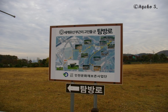 f0283431_02493584.jpg
