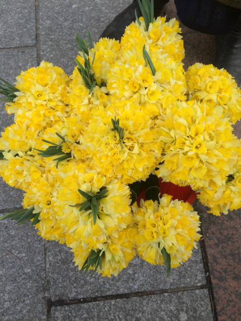 水仙の花束 リンデンの心のままに綴るフランス便り 水仙の花束 リンデンの心のままに綴るフランス便り