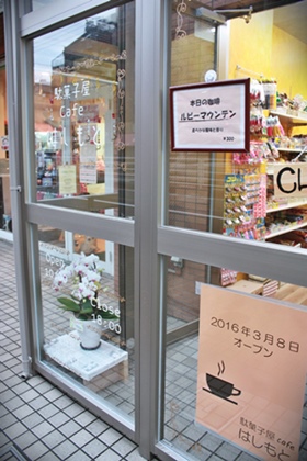 駄菓子屋cafeはしもと 錦糸町 Hairy Tree 山梨ライフ