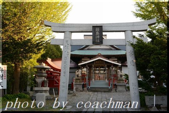 「厳島神社」狛犬(函館市弁天町)_a0315942_22295342.jpg