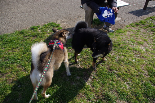 c0266644_06311.jpg