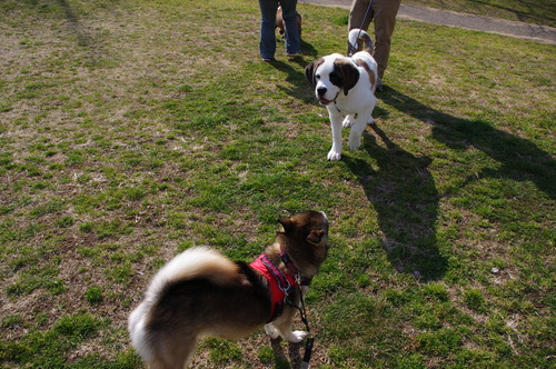 c0266644_074888.jpg