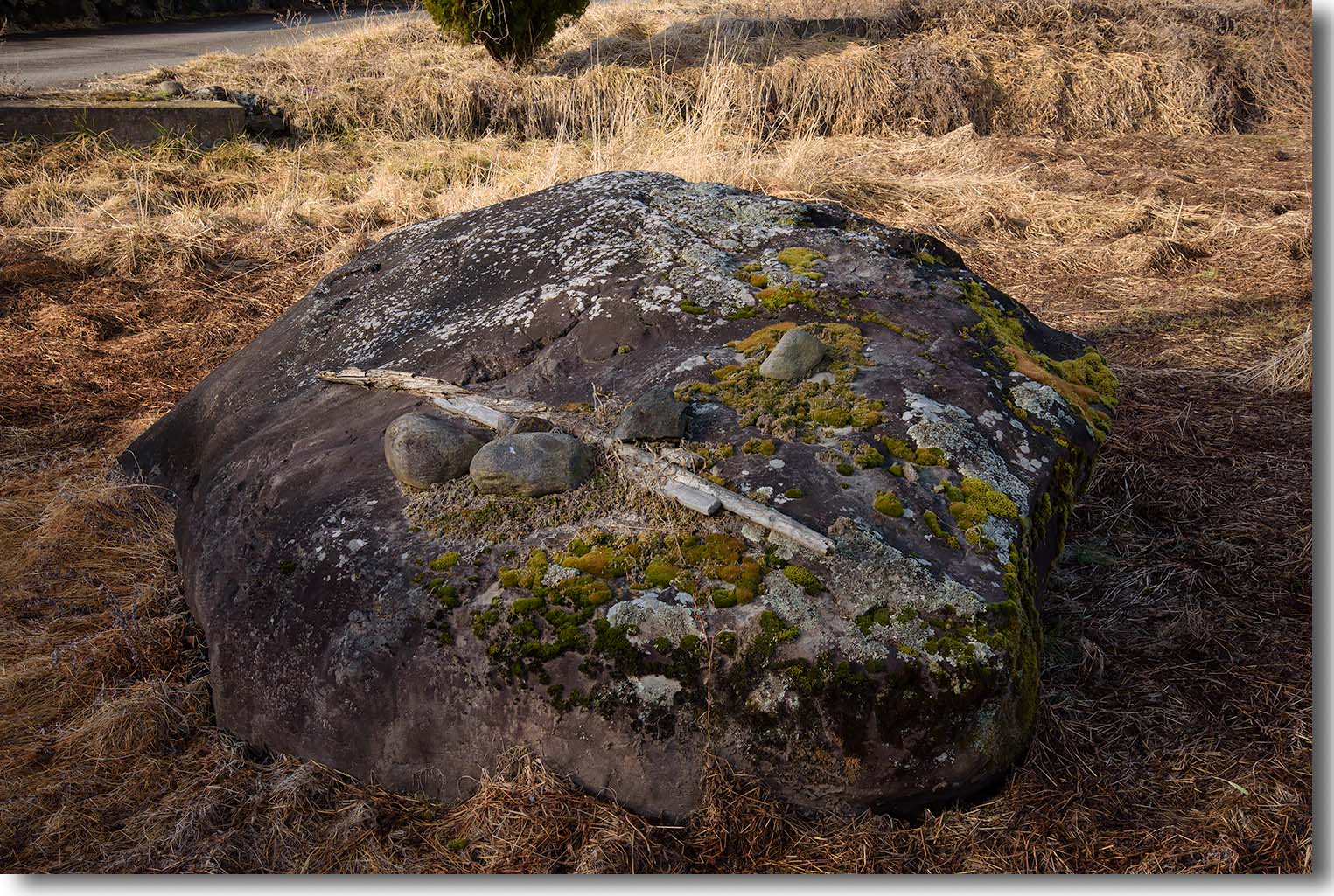 大きな石 小さなロックガーデン 空の下 歩けば