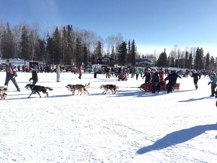 アイデタロッド 犬ぞりレース_b0135948_11493578.jpg