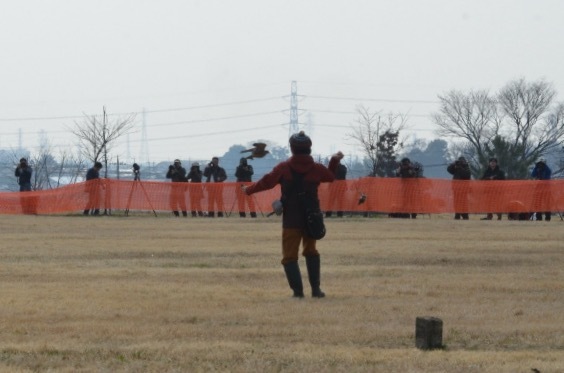 c0132048_08211201.jpeg