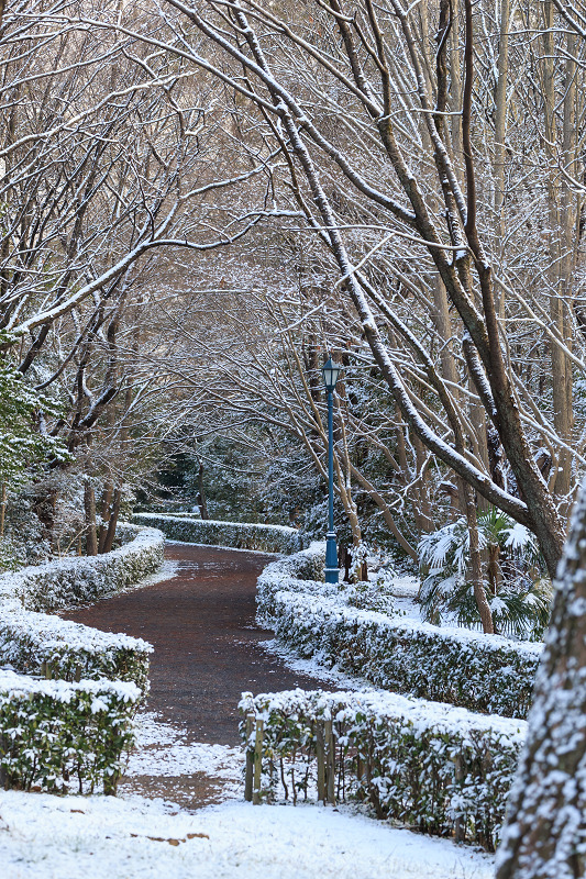 淡雪・京都御苑_f0155048_20191045.jpg