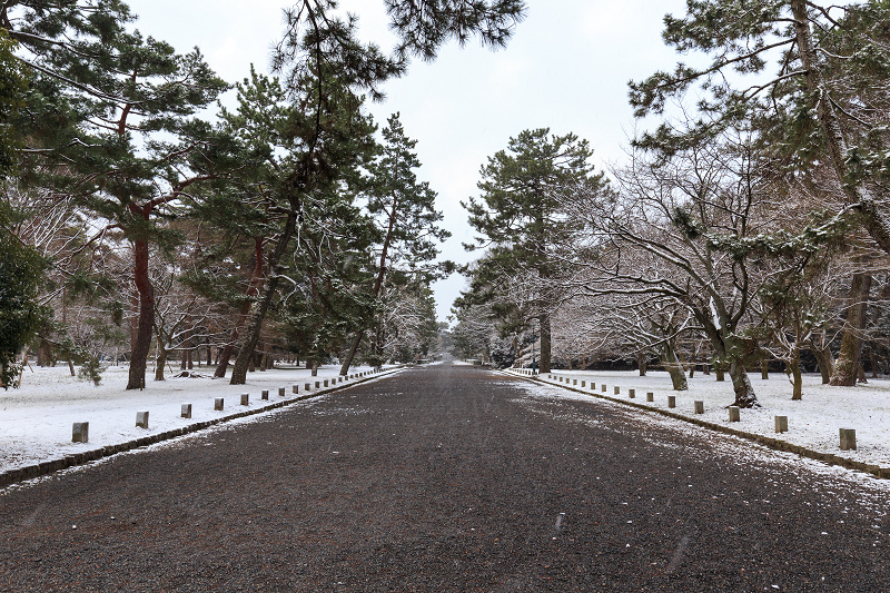 淡雪・京都御苑_f0155048_20192360.jpg