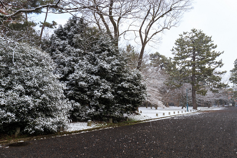 淡雪・京都御苑_f0155048_20231231.jpg