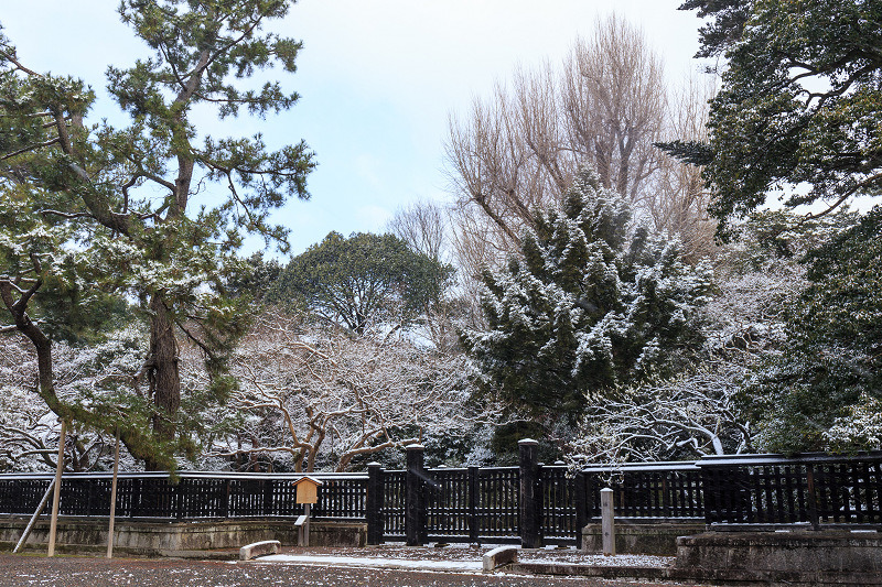 淡雪・京都御苑_f0155048_20232535.jpg