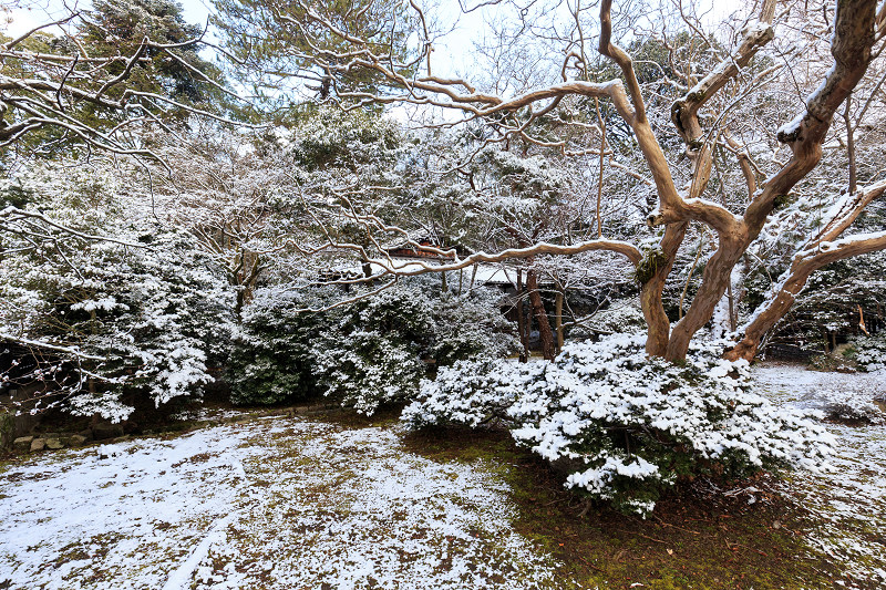 淡雪・京都御苑_f0155048_20263969.jpg