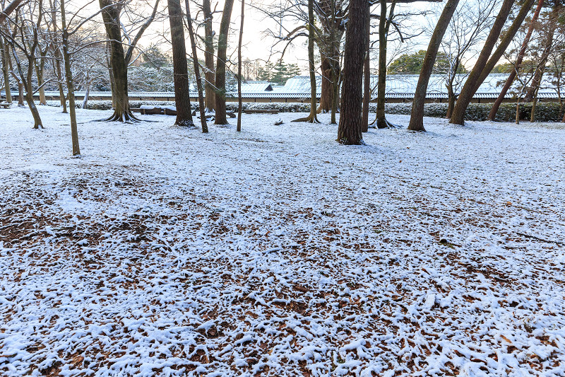 淡雪・京都御苑_f0155048_2028582.jpg