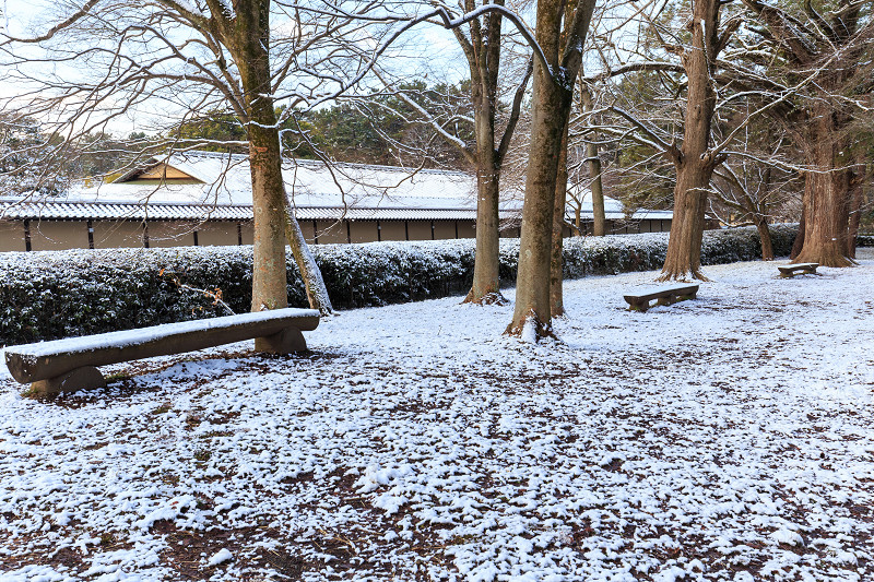 淡雪・京都御苑_f0155048_20292568.jpg