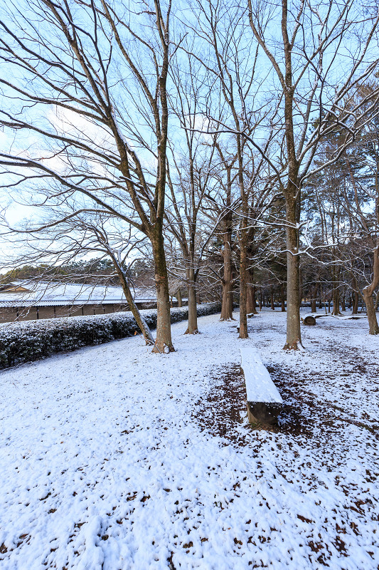 淡雪・京都御苑_f0155048_20301066.jpg