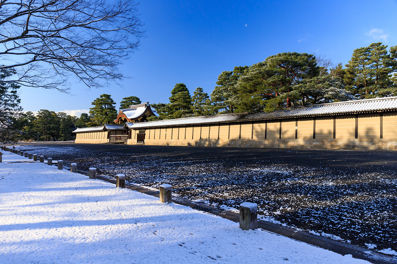 淡雪・京都御苑_f0155048_20335824.jpg