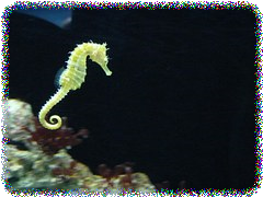a0280653_10480618.png