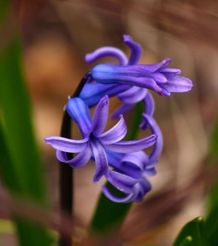 a0248459_18455019.jpg