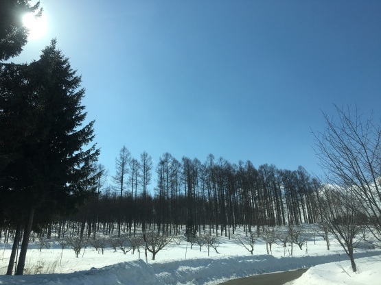 深川ビフォーアフター_a0356060_14452626.jpg