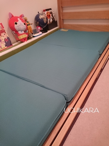 選んだのは無印の2段ベッド_a0129661_16271228.jpg