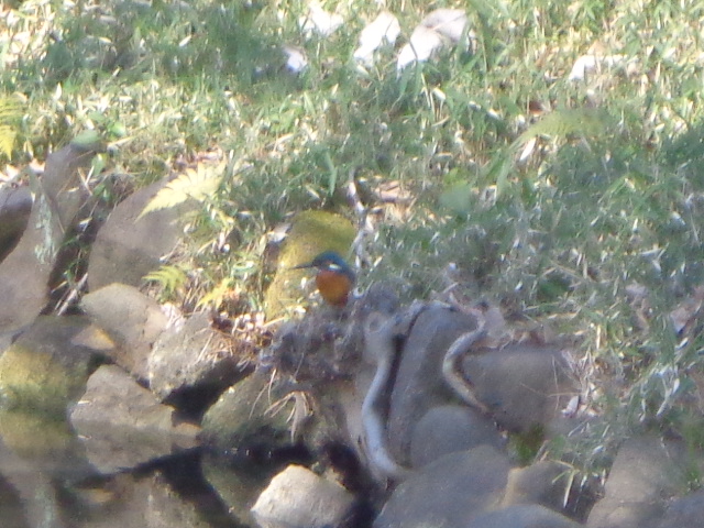b0061261_2101230.jpg