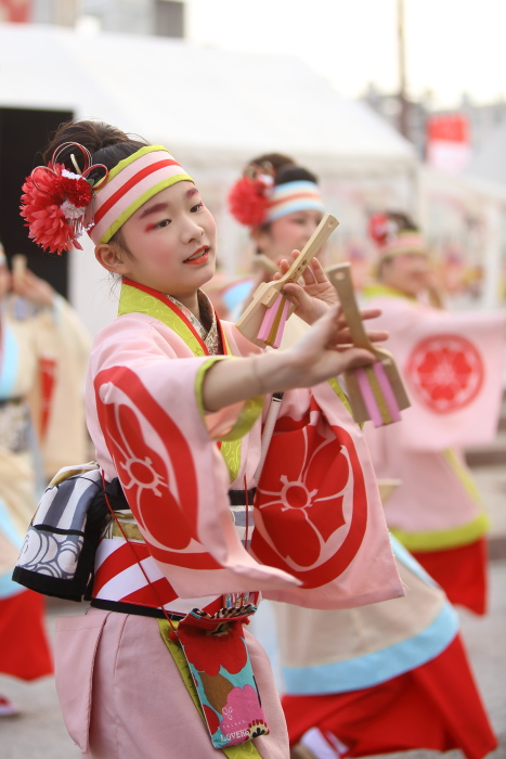 土佐のおきゃく「よさこい春の舞」2016 濱長花神楽 その1_a0077663_6522542.jpg