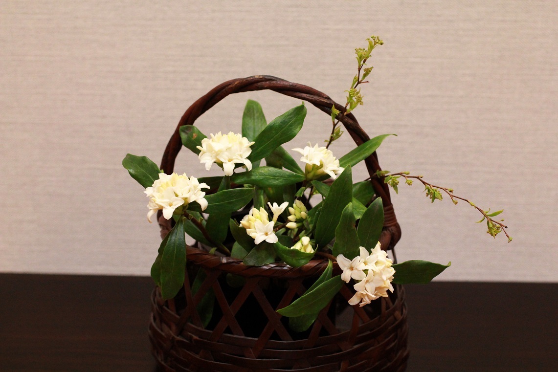 花を活ける ~沈丁花~_a0107574_16090087.jpg