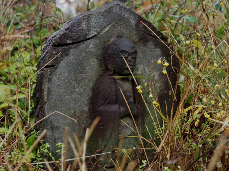 八丈島、２泊３日のゆったりツアー①３月４日_c0183777_2052167.jpg