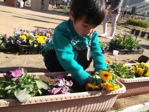 f0334882_17162172.jpg