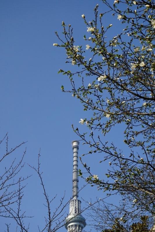 d0341483_10022778.jpg