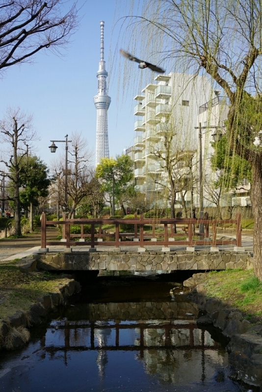 d0341483_10022929.jpg