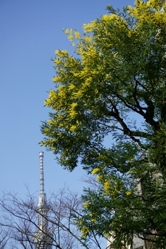 d0341483_10023027.jpg