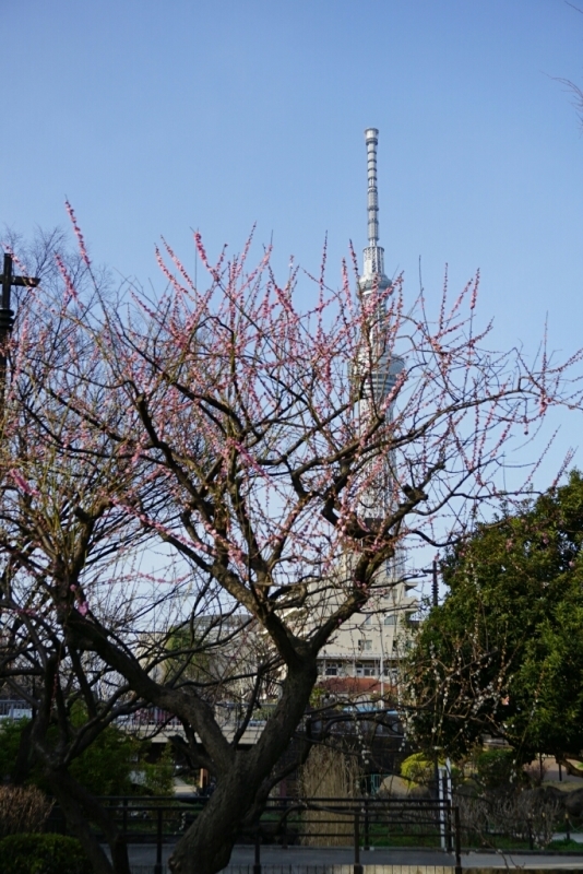 d0341483_10023279.jpg