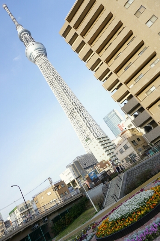 d0341483_10023677.jpg