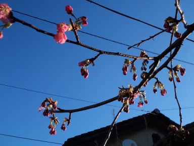 b0207284_674523.jpg