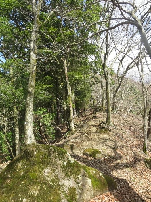b0339488_22170780.jpg
