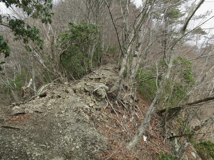 b0339488_22172616.jpg