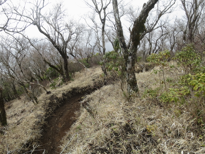 鍋割山　前編　二俣分岐へ_b0339488_22172715.jpg