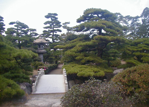 d0053294_129374.jpg