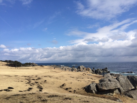 < 旅行記67-3 『 北海道＆東北の旅(八戸・久慈) 』 >_d0055395_2218826.jpg