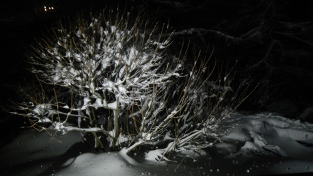 雪降りの夜_e0120896_19161099.jpg