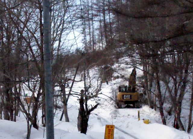 a0345007_20504230.jpg