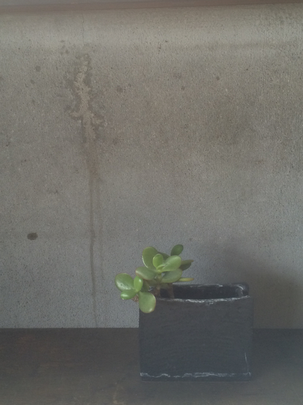 予告_f0155808_13495504.jpg