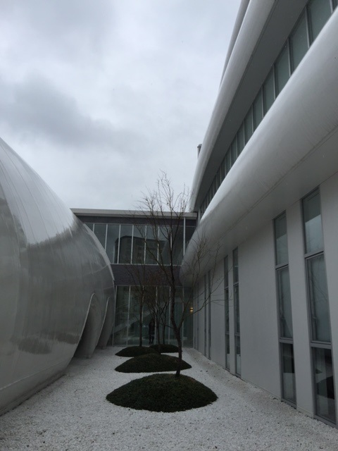 a0156611_731798.jpg