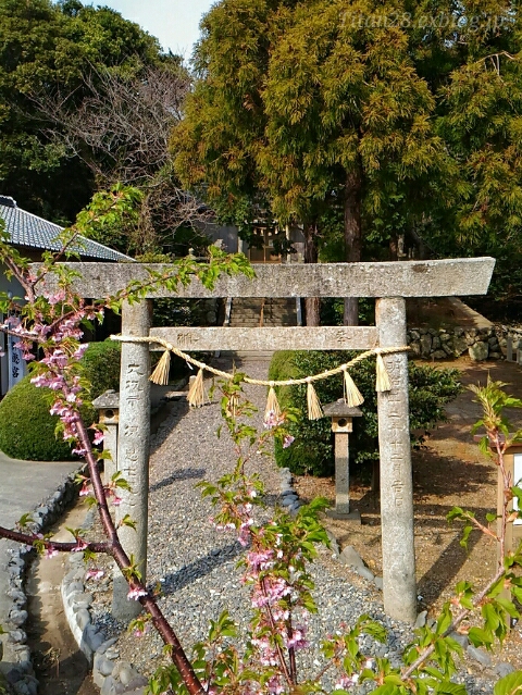 b0099813_1565350.jpg